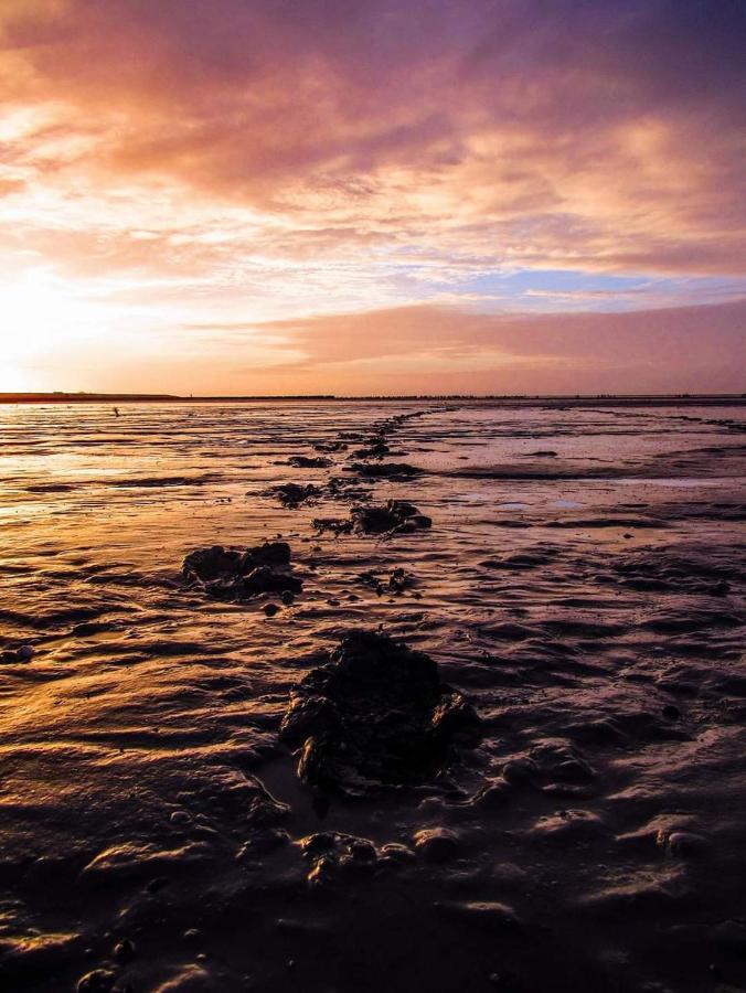 Vissershuisje Aan De Waddenzee Paesens エクステリア 写真