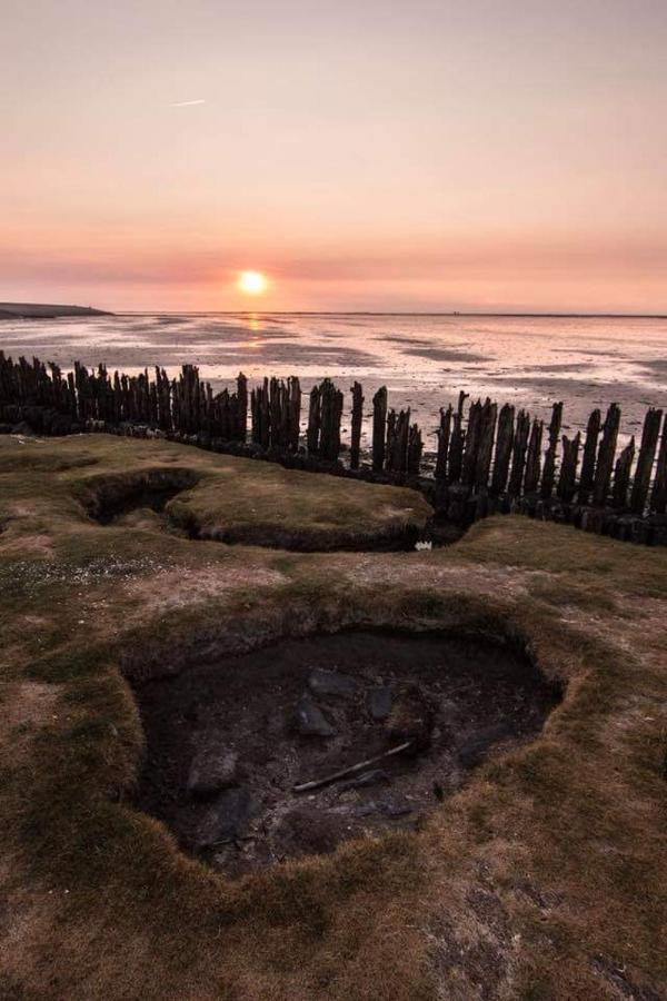 Vissershuisje Aan De Waddenzee Paesens エクステリア 写真